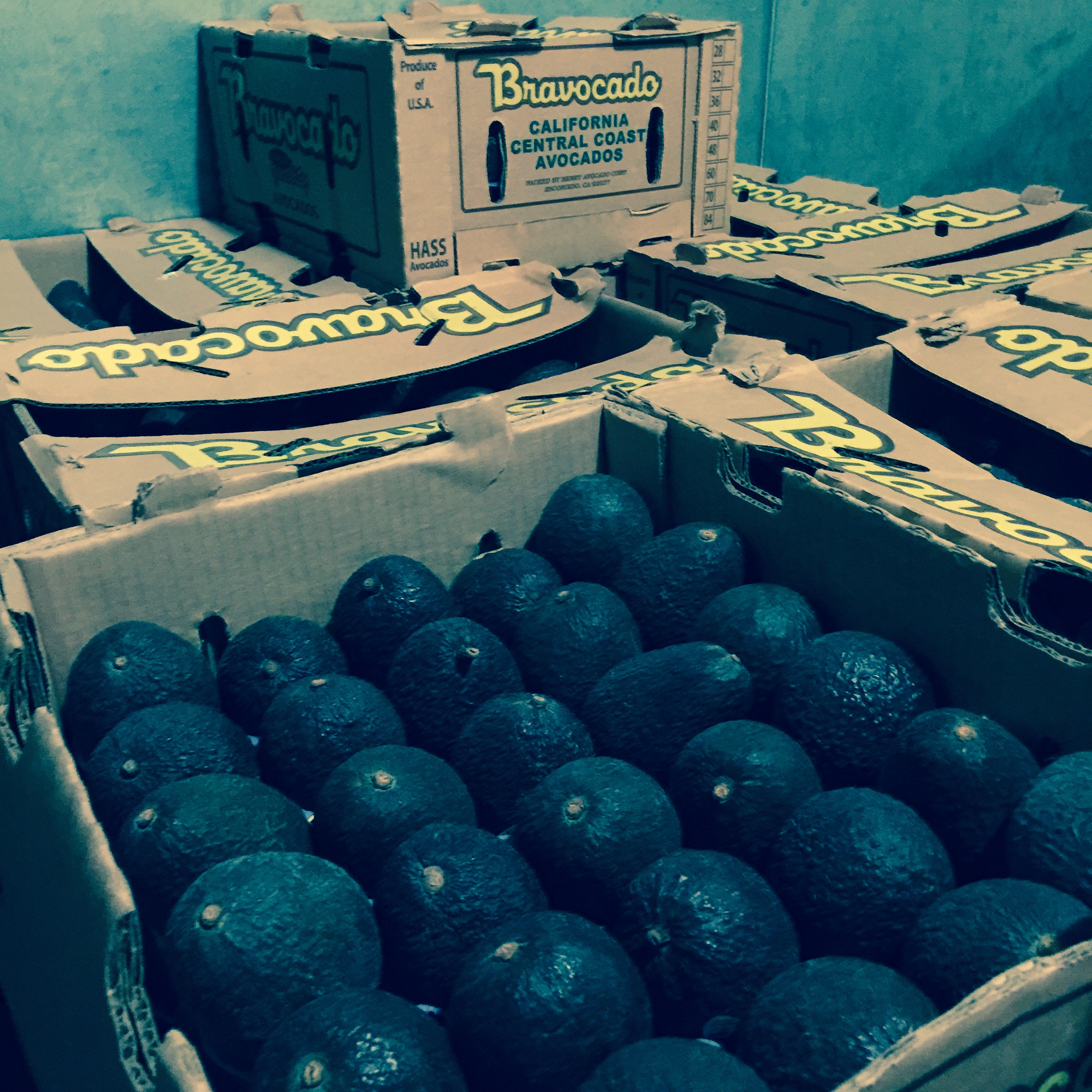 California Avocados! C & L Produce