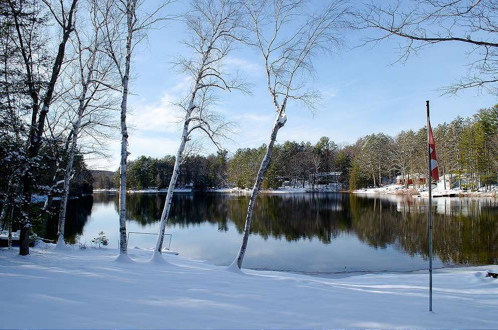 Cottage Link Rental Management Mapleview