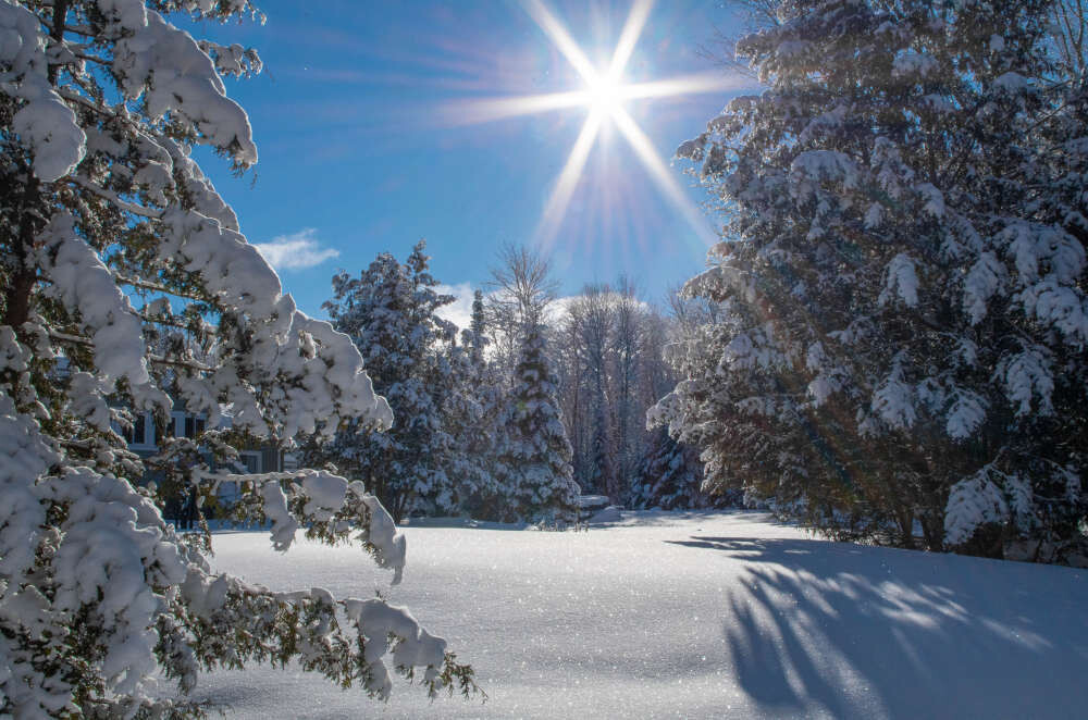 The Magic Of An Ontario Winter CottageLINK Rental Management