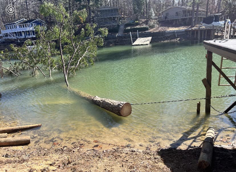 Clearview Land Services, LLC Land Management Projects Alexander