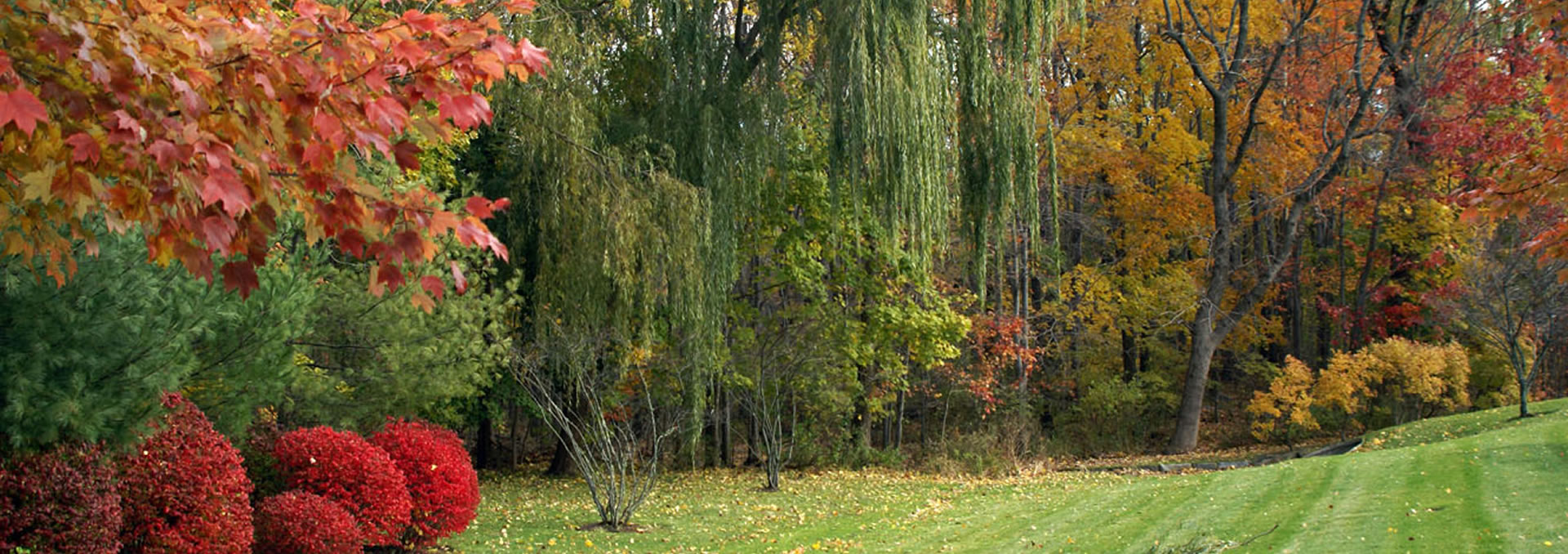 Club Pointe Condominium of White Plains