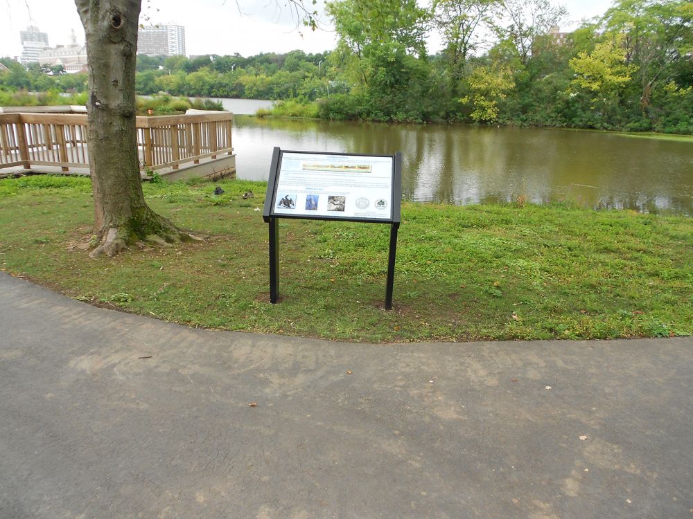 Johnson Park County Consulting Services CME Associates