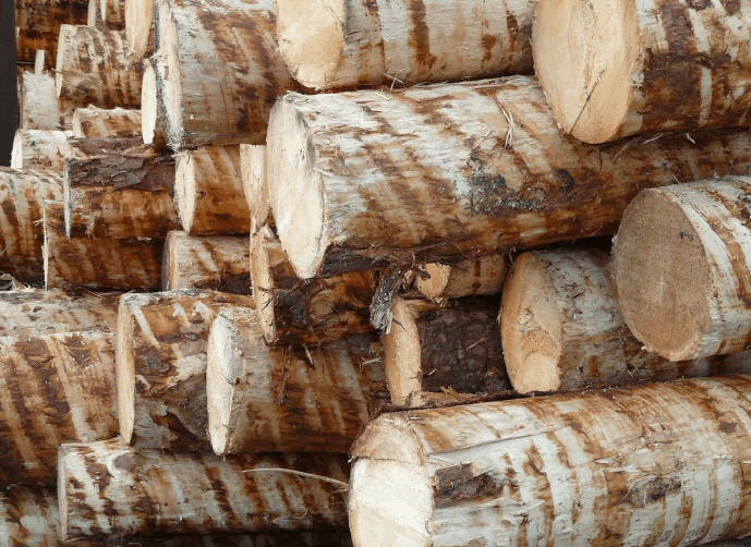 Reasons Why Wood is the Best Material CMF Hobbies