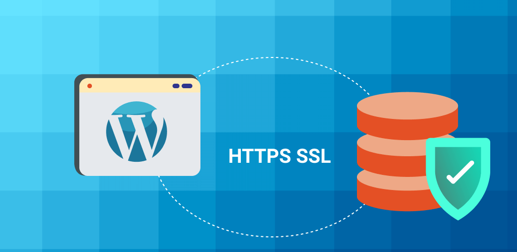 Are WordPress Plugins Safe to Use? CreativeMinds