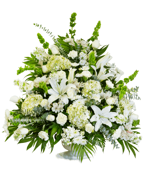 Sympathy Connells Maple Lee flowers and gifts Flowers, Plants