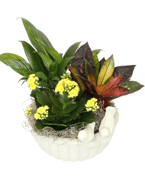 Grove City OH Flower Shop at 2033 Stringtown Road Delivery to Grove