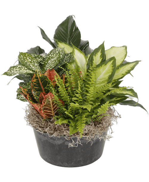 Grove City OH Flower Shop at 2033 Stringtown Road Delivery to Grove