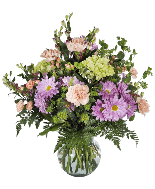 Sympathy Connells Maple Lee flowers and gifts Flowers, Plants