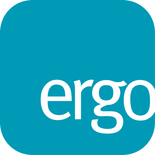 Ergo Ltd Single Monitor
