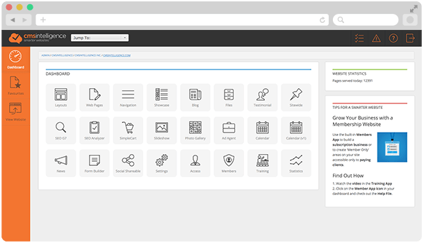 Why Choose CMSIntelligence Smarter Websites