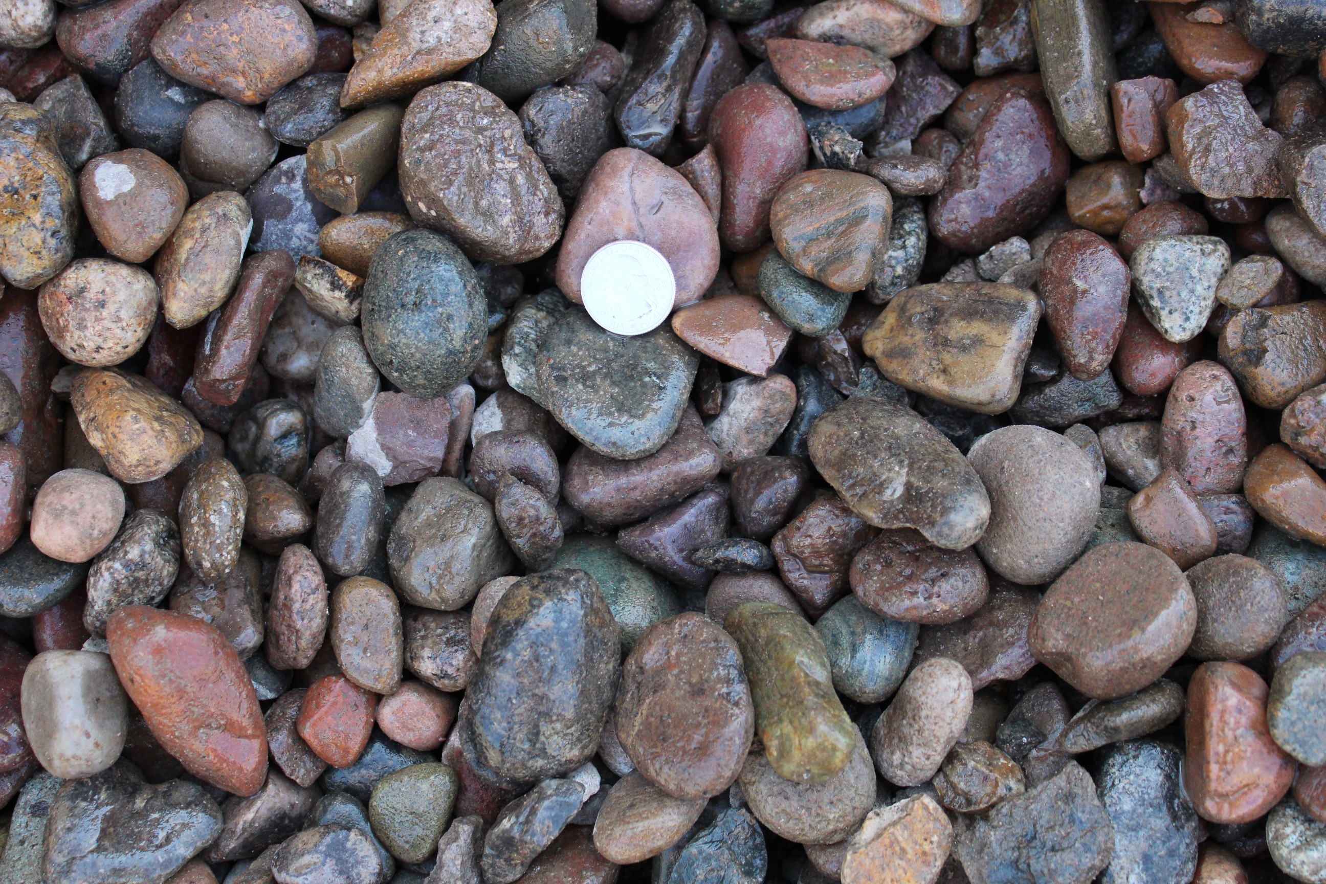 C&M Topsoil (818) 8995485