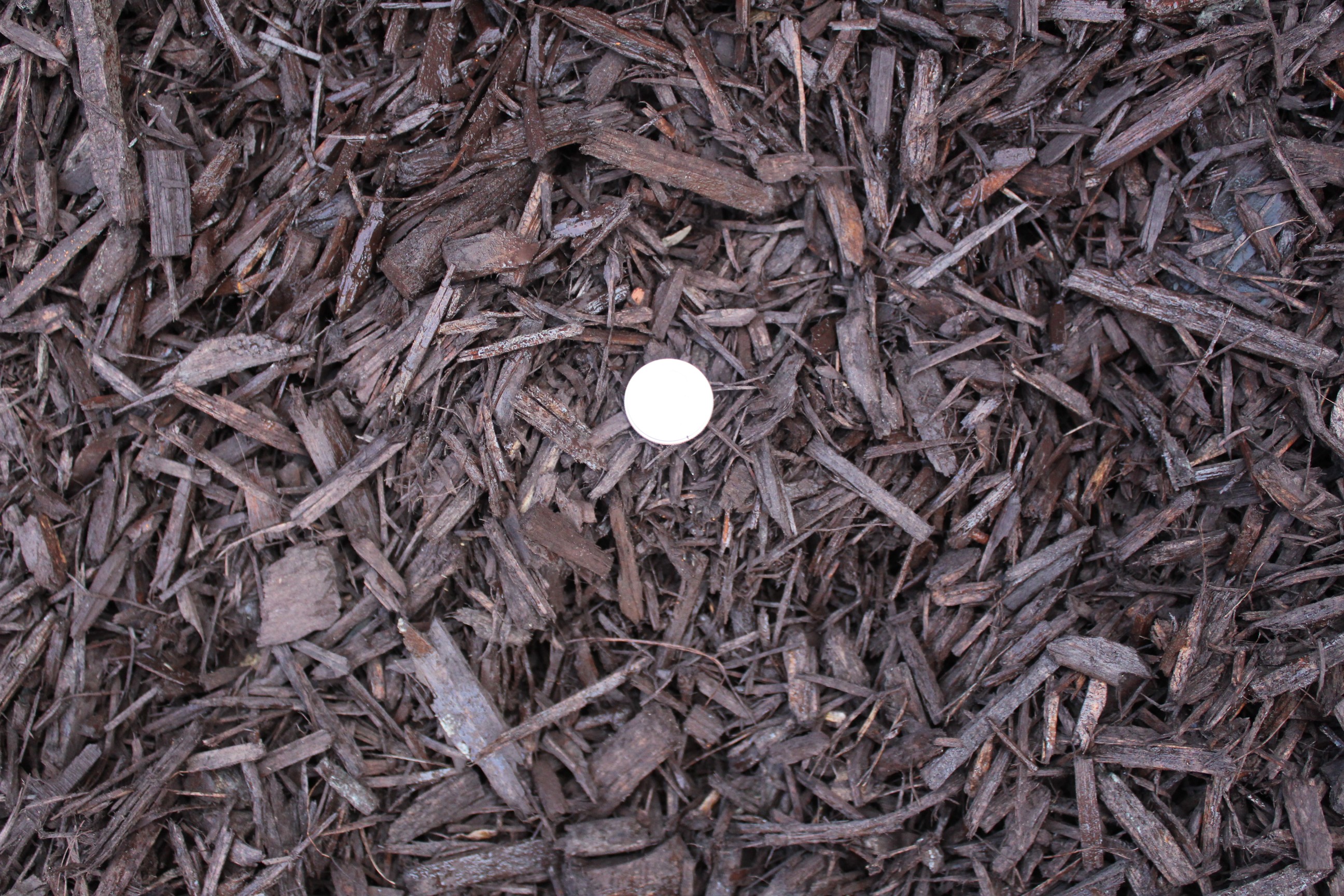 C&M Topsoil (818) 8995485