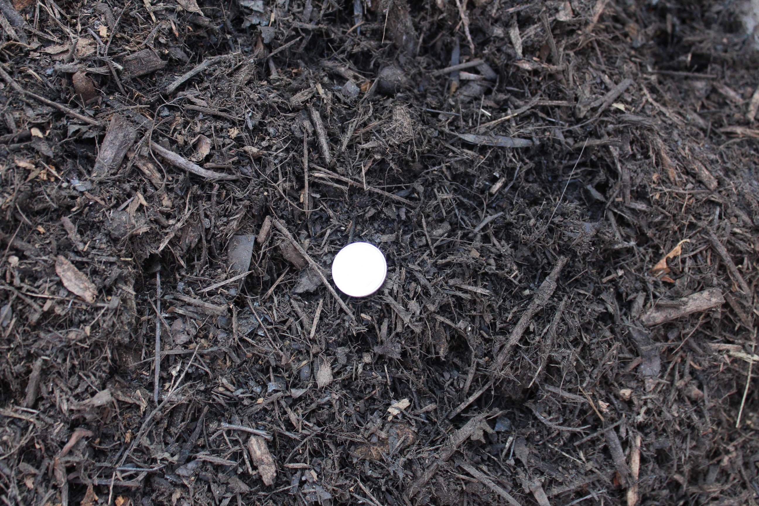 C&M Topsoil (818) 8995485