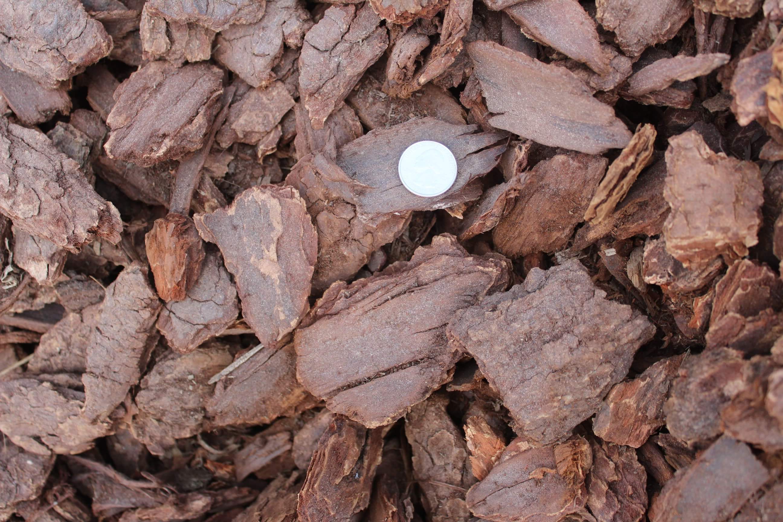 C&M Topsoil (818) 8995485