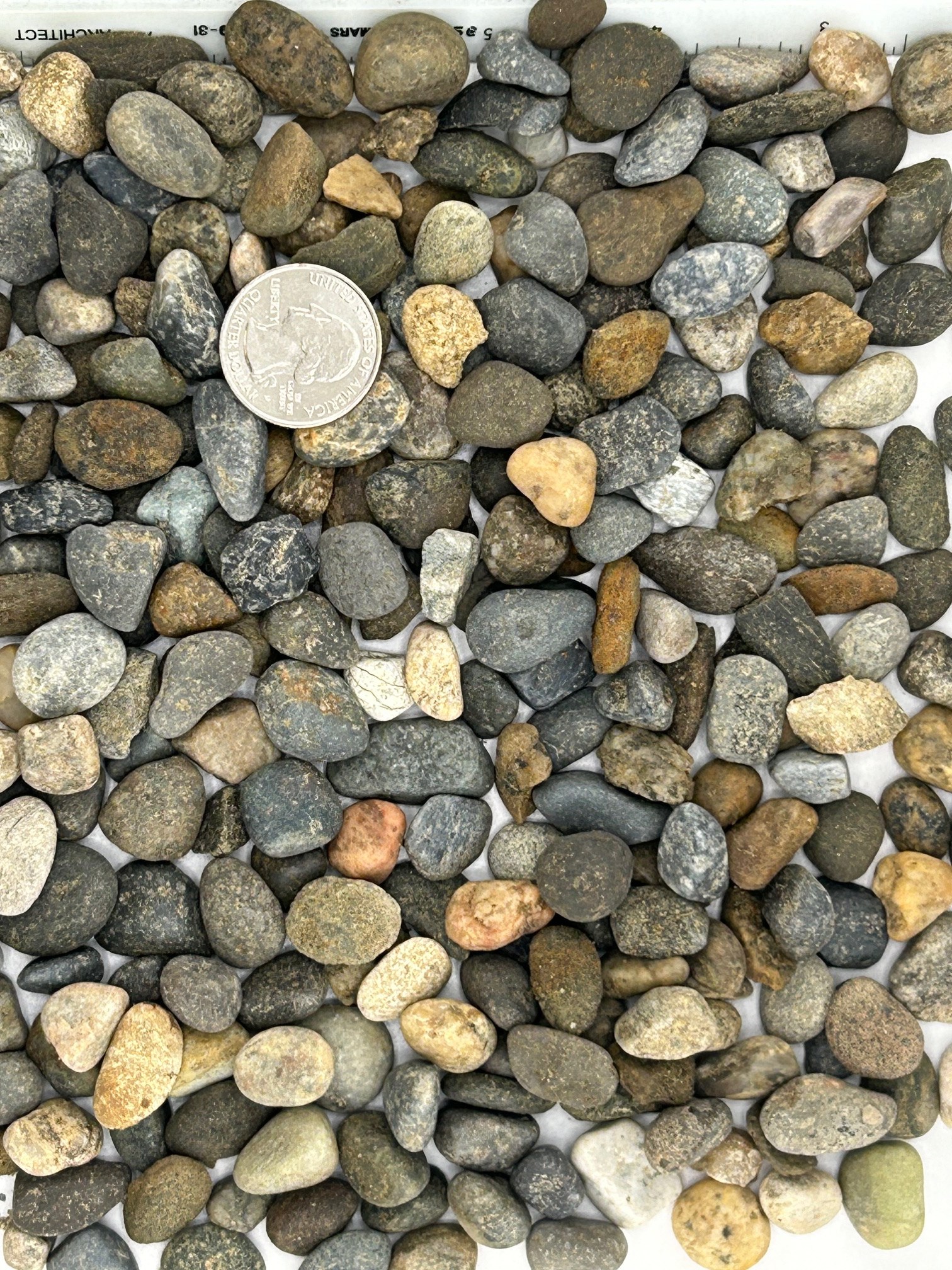 C&M Topsoil (818) 8995485