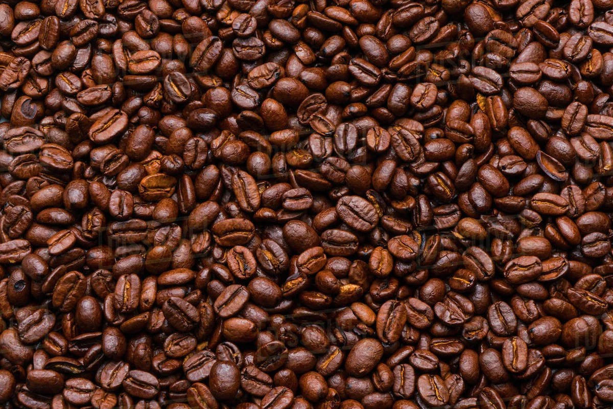 Wholesale Roasted Coffee Beans Suppliers & Exporters