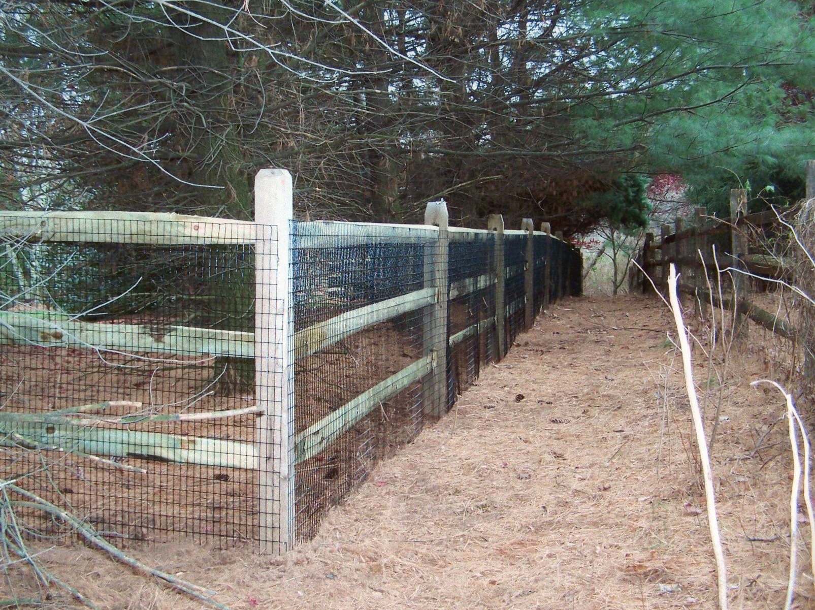 Pressure Treated Split Rail Fence