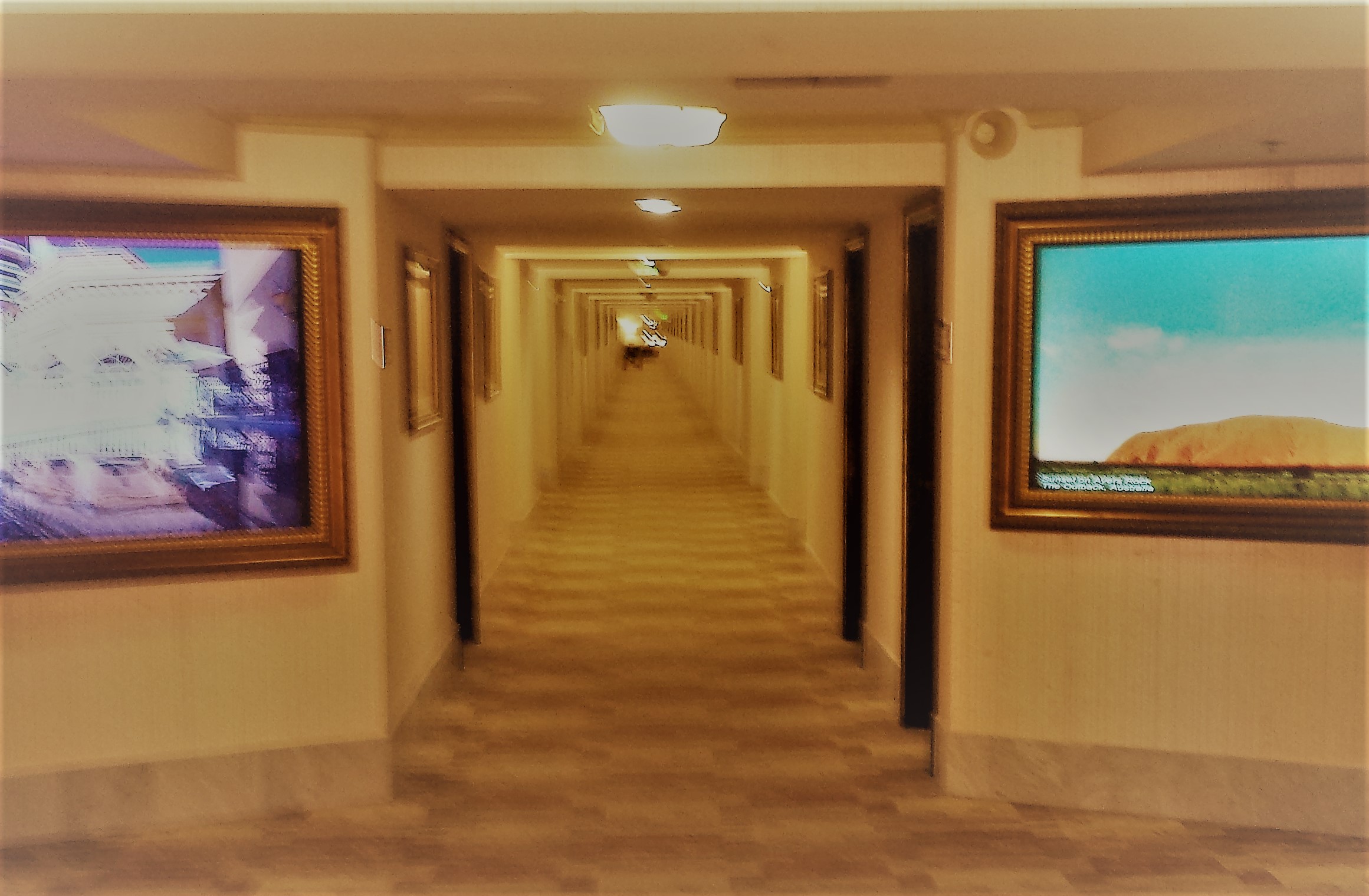 the long hall CNCH