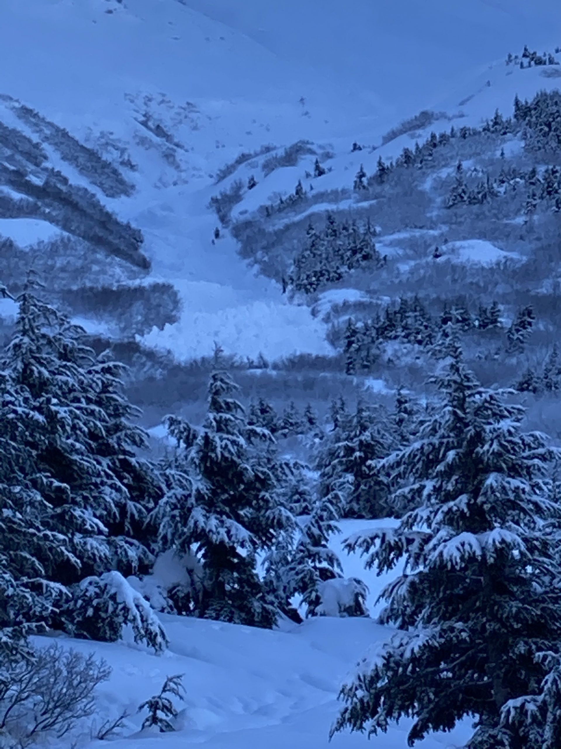 Carter Lake Chugach Avalanche Center