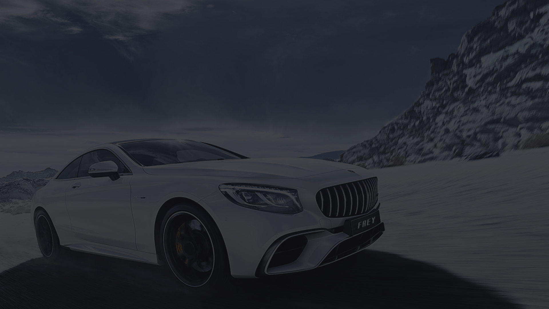 Frey MercedesBenz BMW Auto Parts