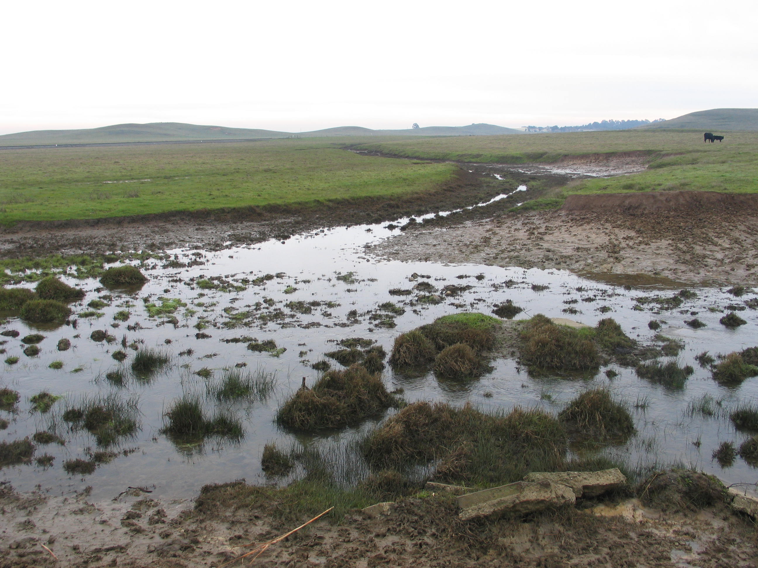 Center for Natural Lands Management Noonan Ranch