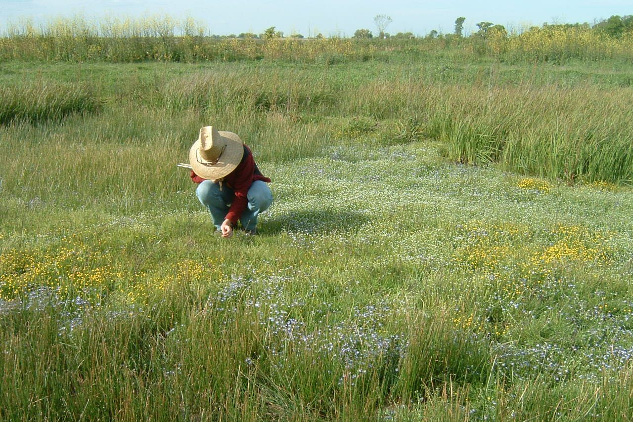 Jobs California Native Plant Society