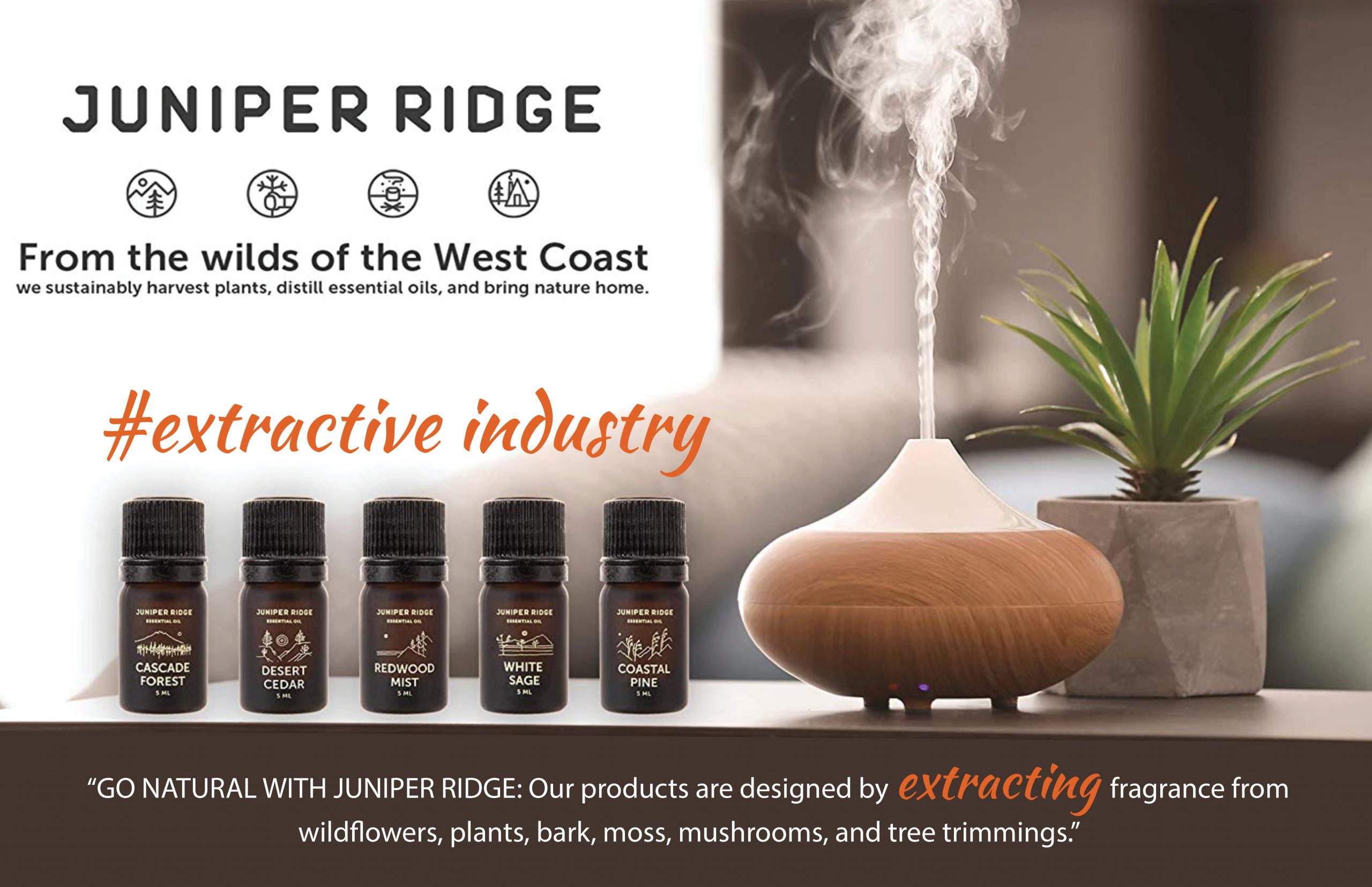 White Sage Protection California Native Plant Society