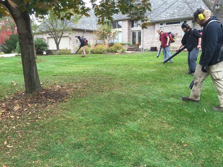 Fall Lawn and property Cleanup