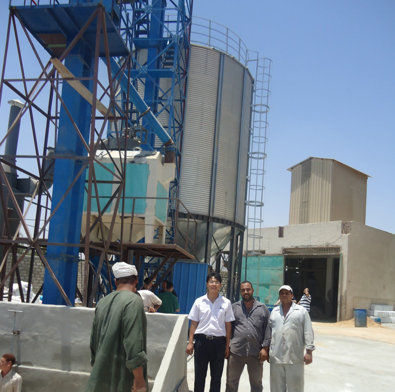 Great value 200t paddy rice storage silo for sale_Flat Bottom Silo