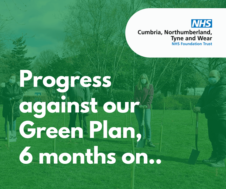 Celebrating progress six months since the launch of our Green Plan