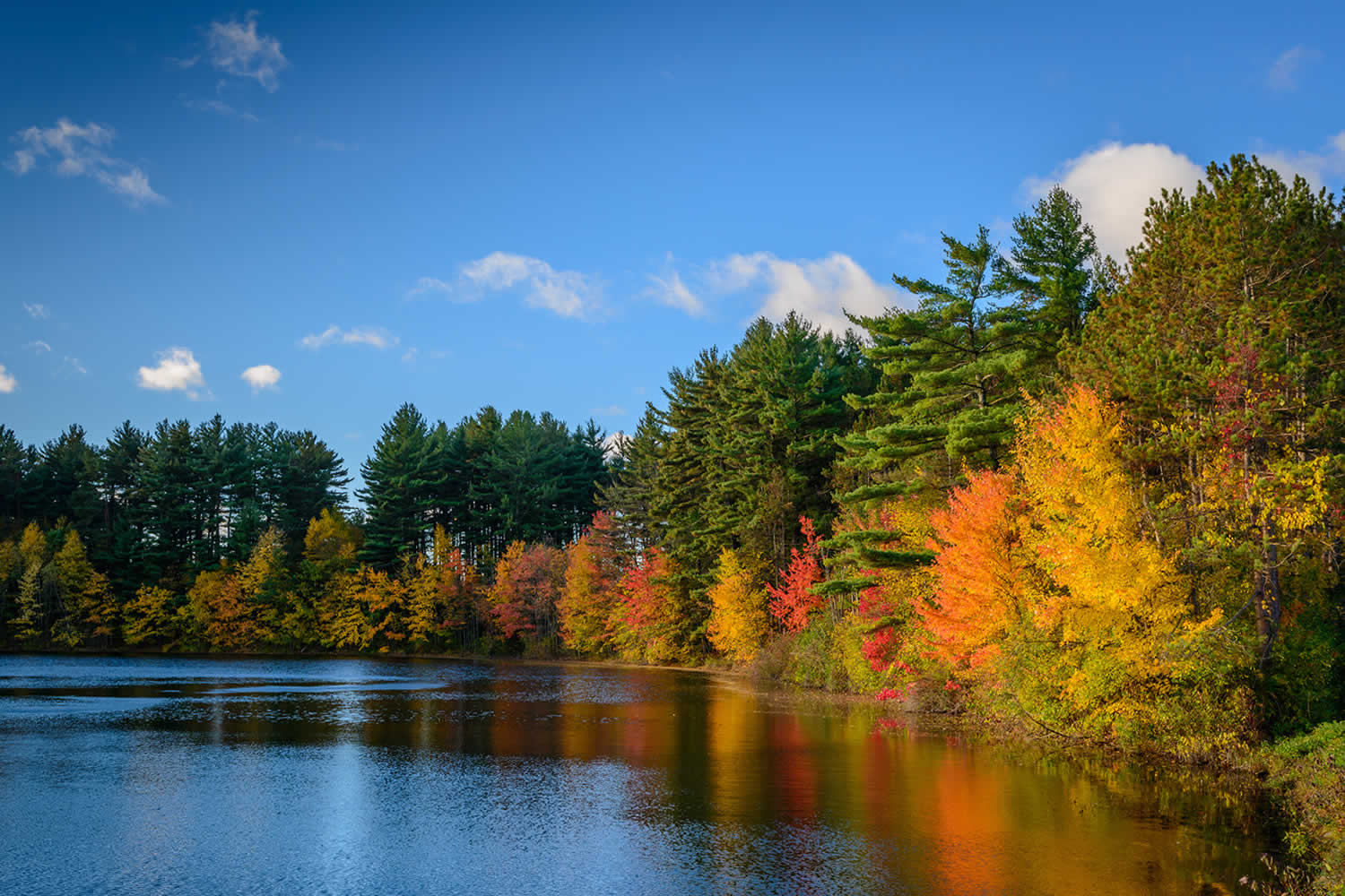 Syracuse New York Real Estate Central NY Real Estate