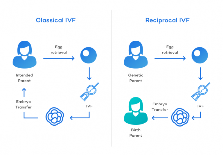 Reciprocal IVF What It Is, How It Works & What It Costs