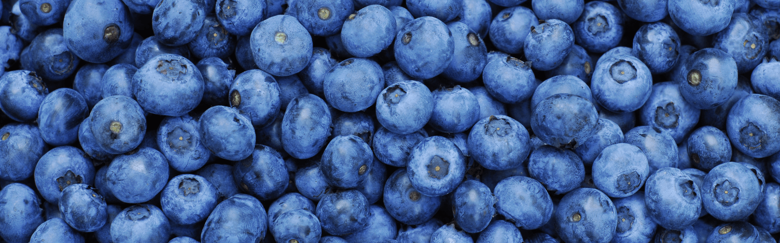 Fruits to Increase Sperm Count and Motility CNY Fertility