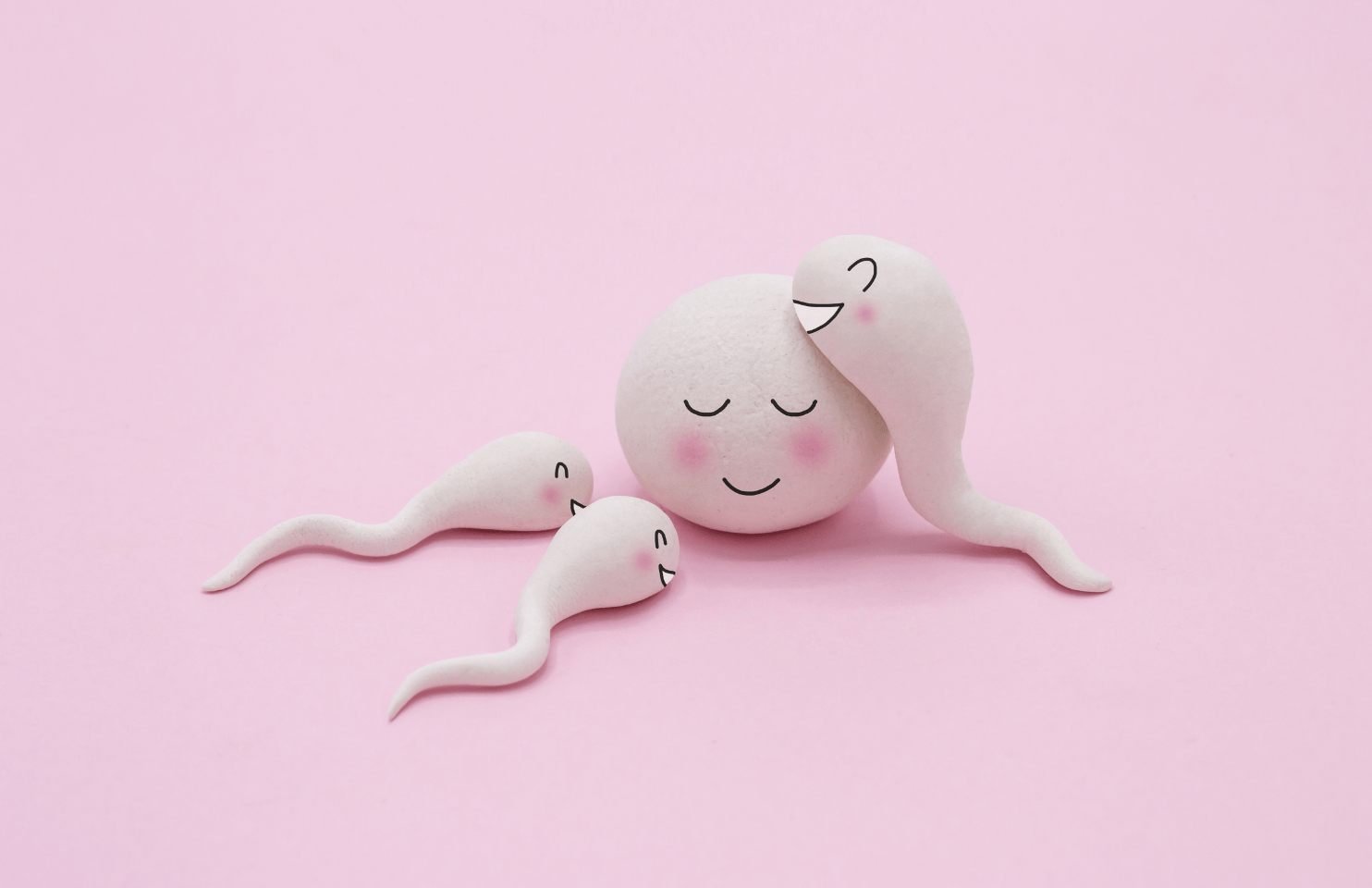 Natural Fertility The Essential Guide to Improving Your Fertility