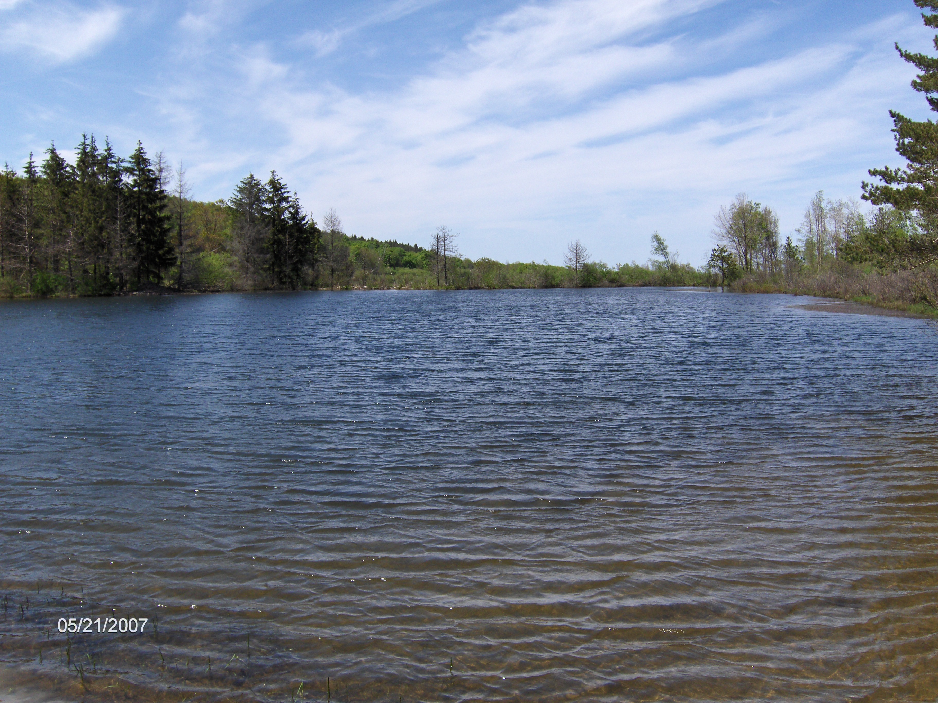 NCT DeRuyter State Forest