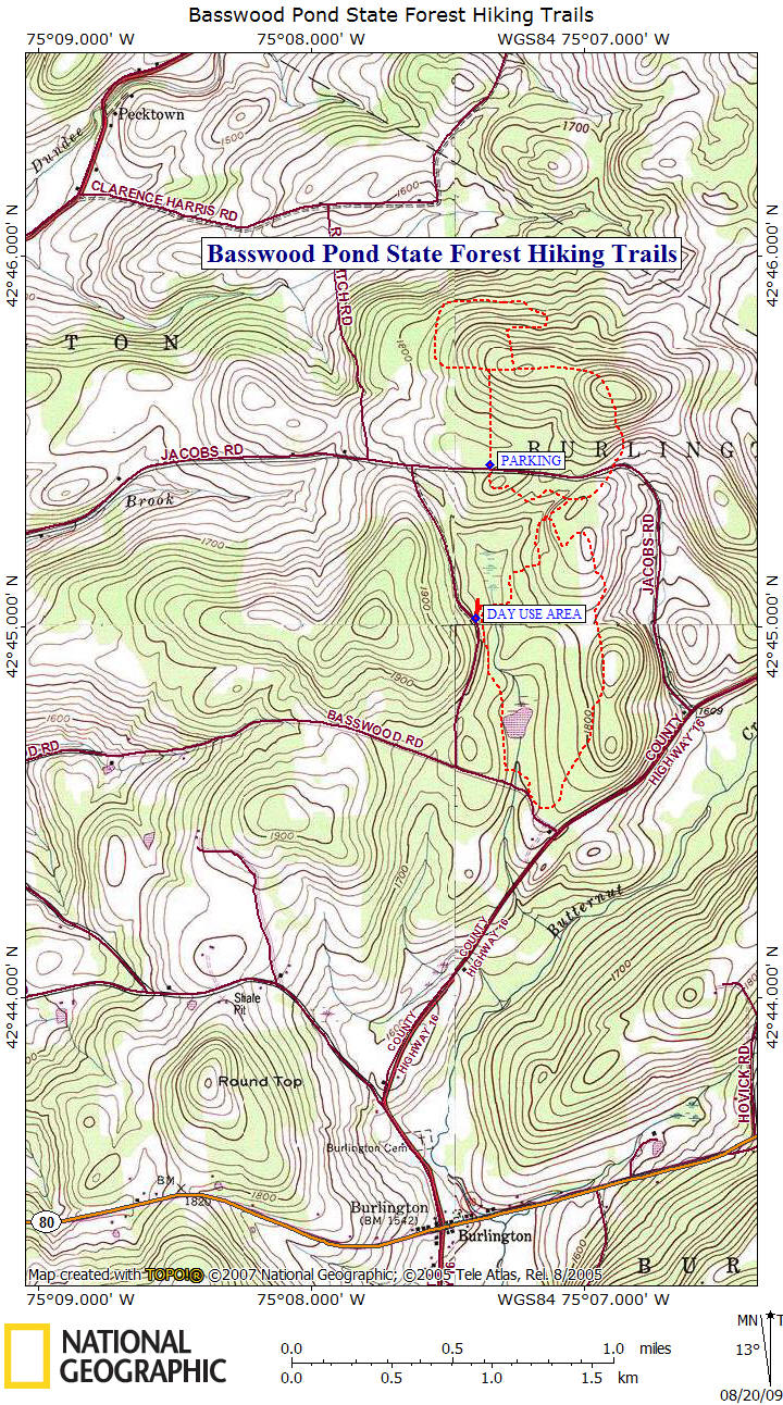Basswood Pond State Forest