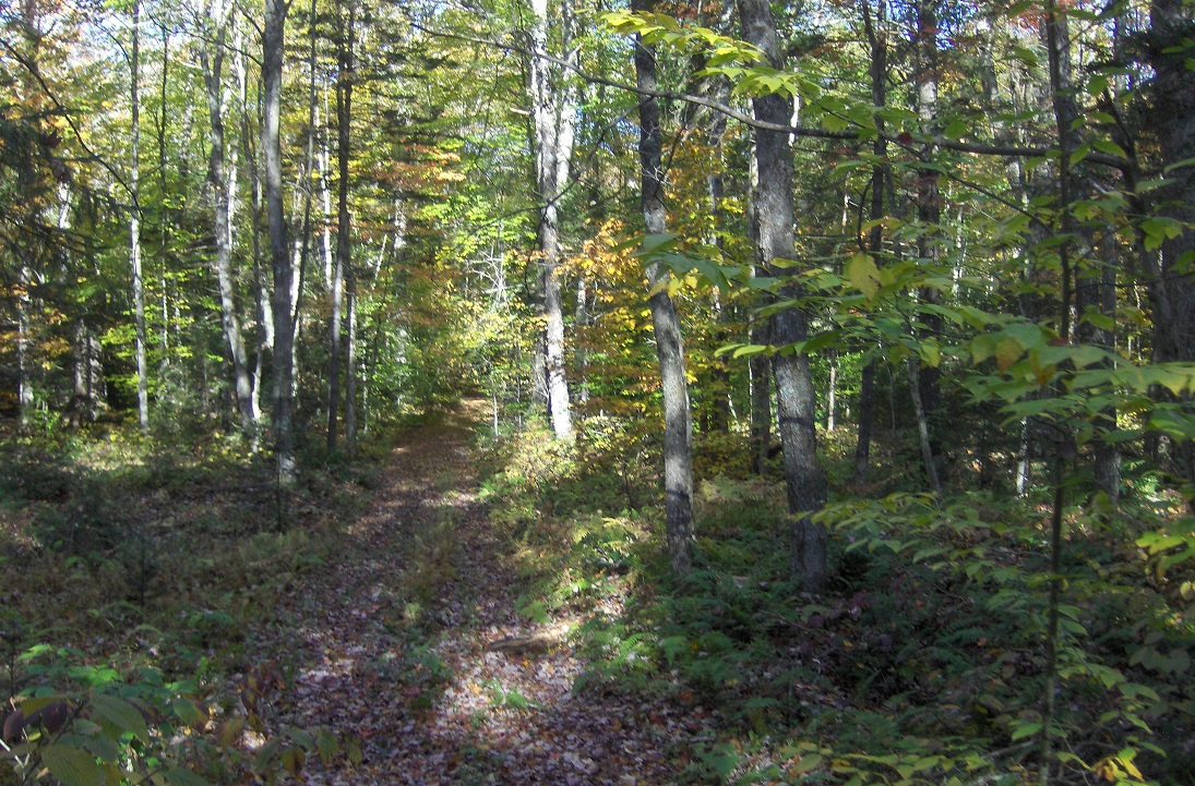 Black River Bridge Site