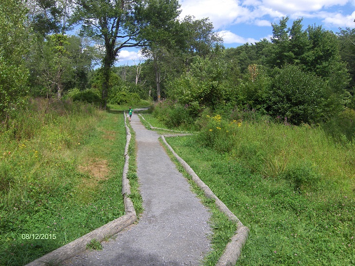 Bluestone Wild Forest