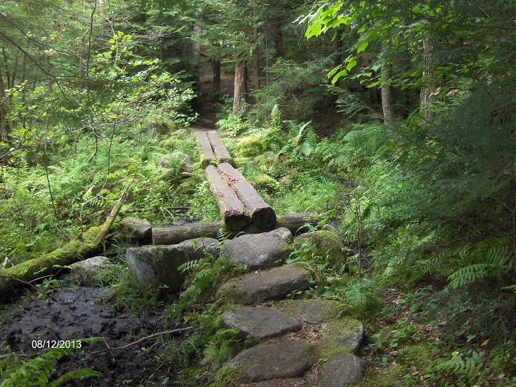 Gull Pond Trail