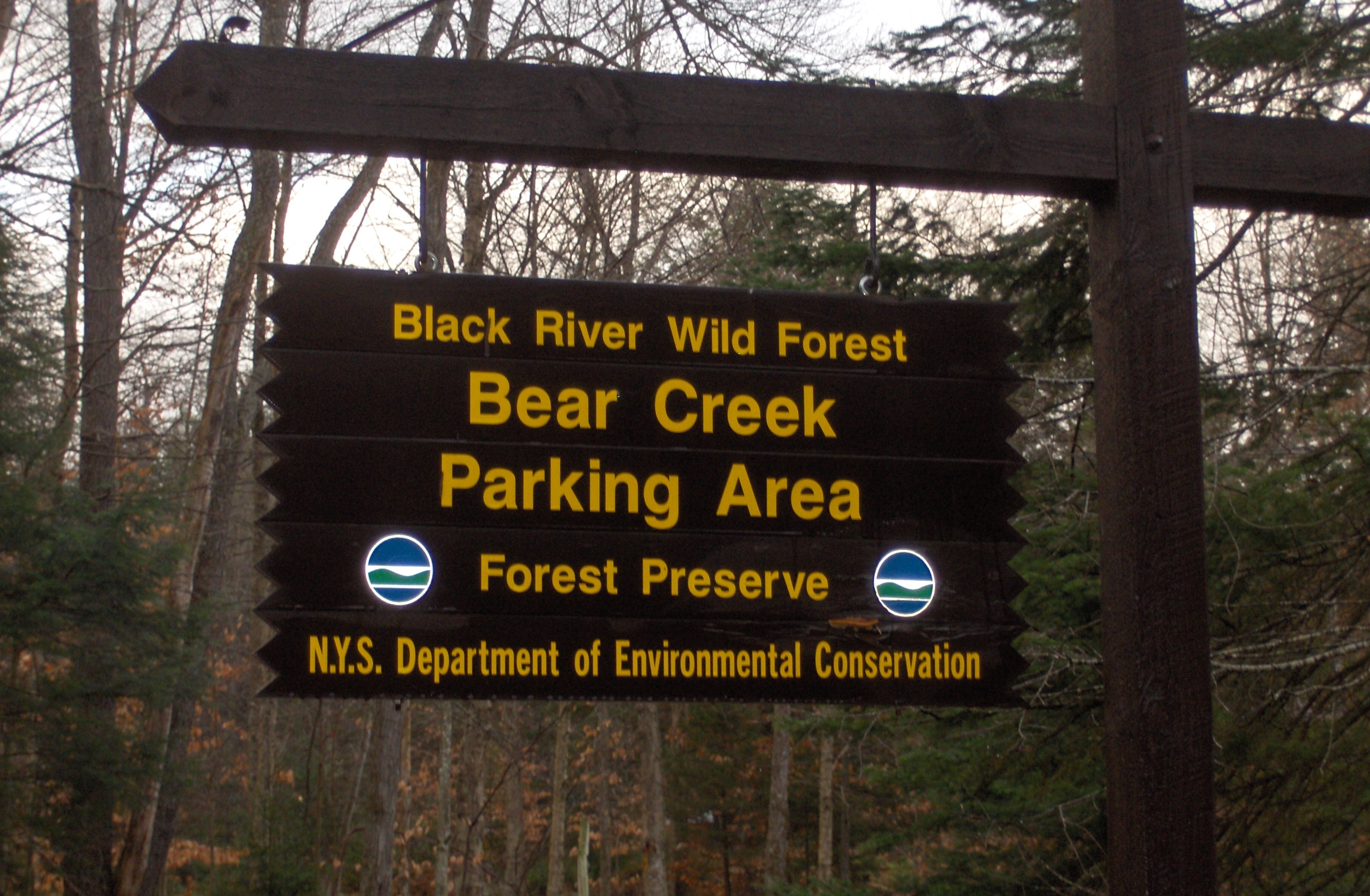 Black River Wild Forest