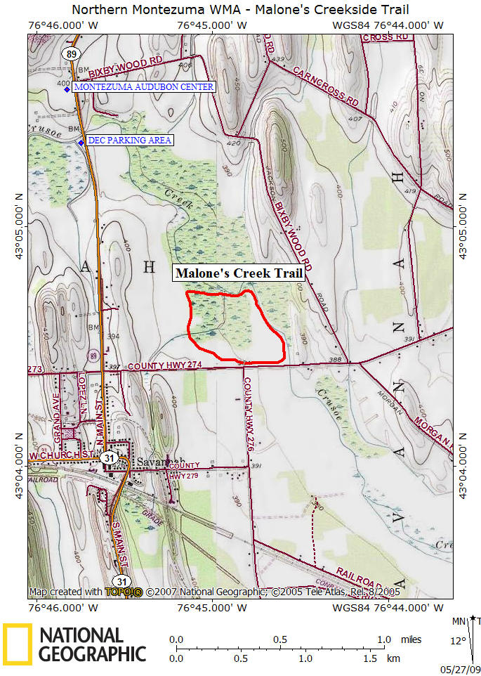 Malone's Creekside Trail