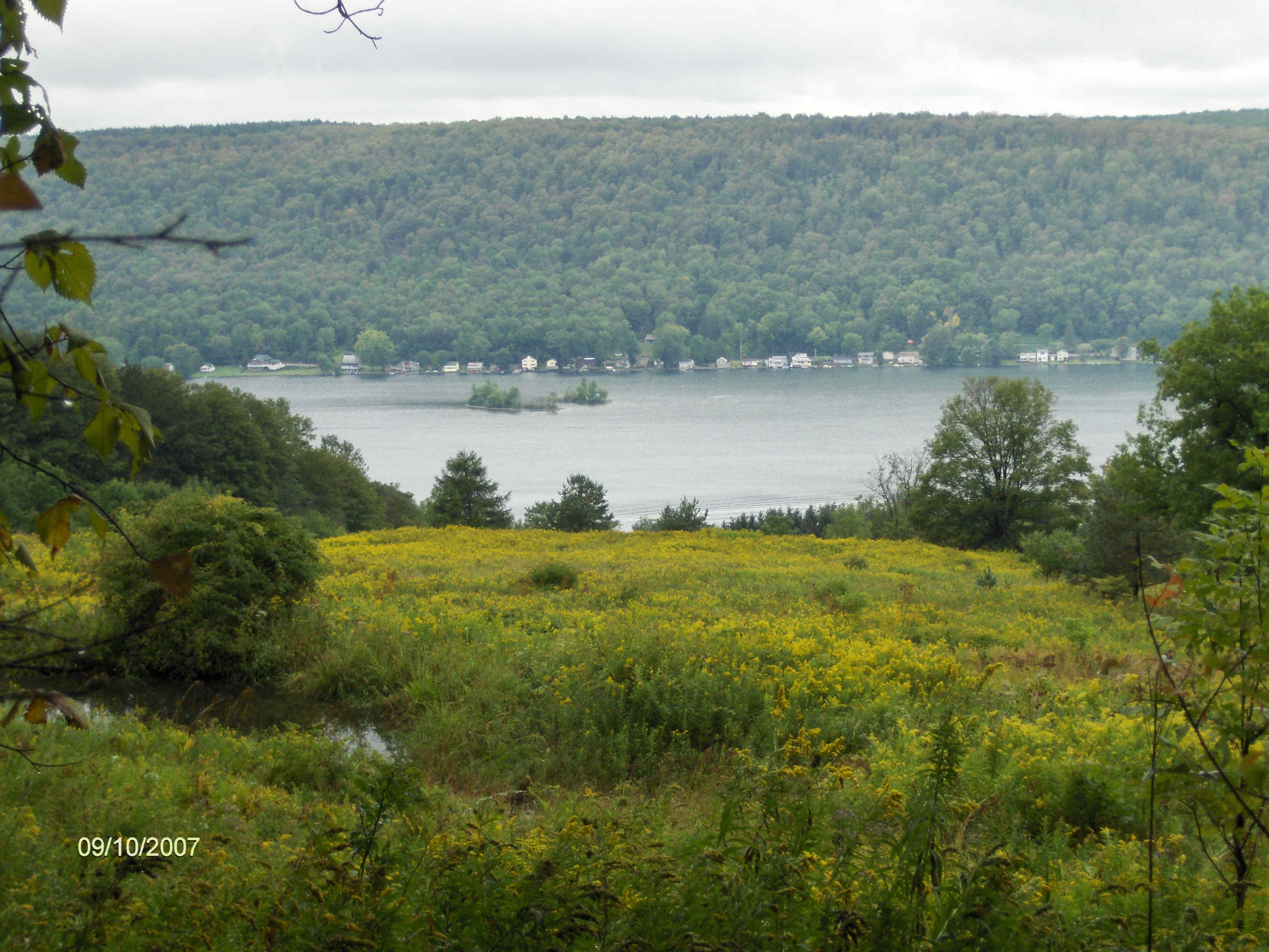 NCT DeRuyter State Forest