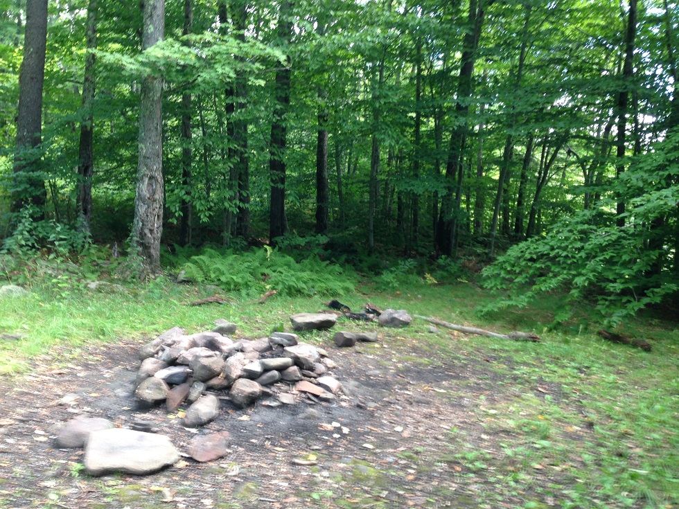 Neversink River Scenic Spot