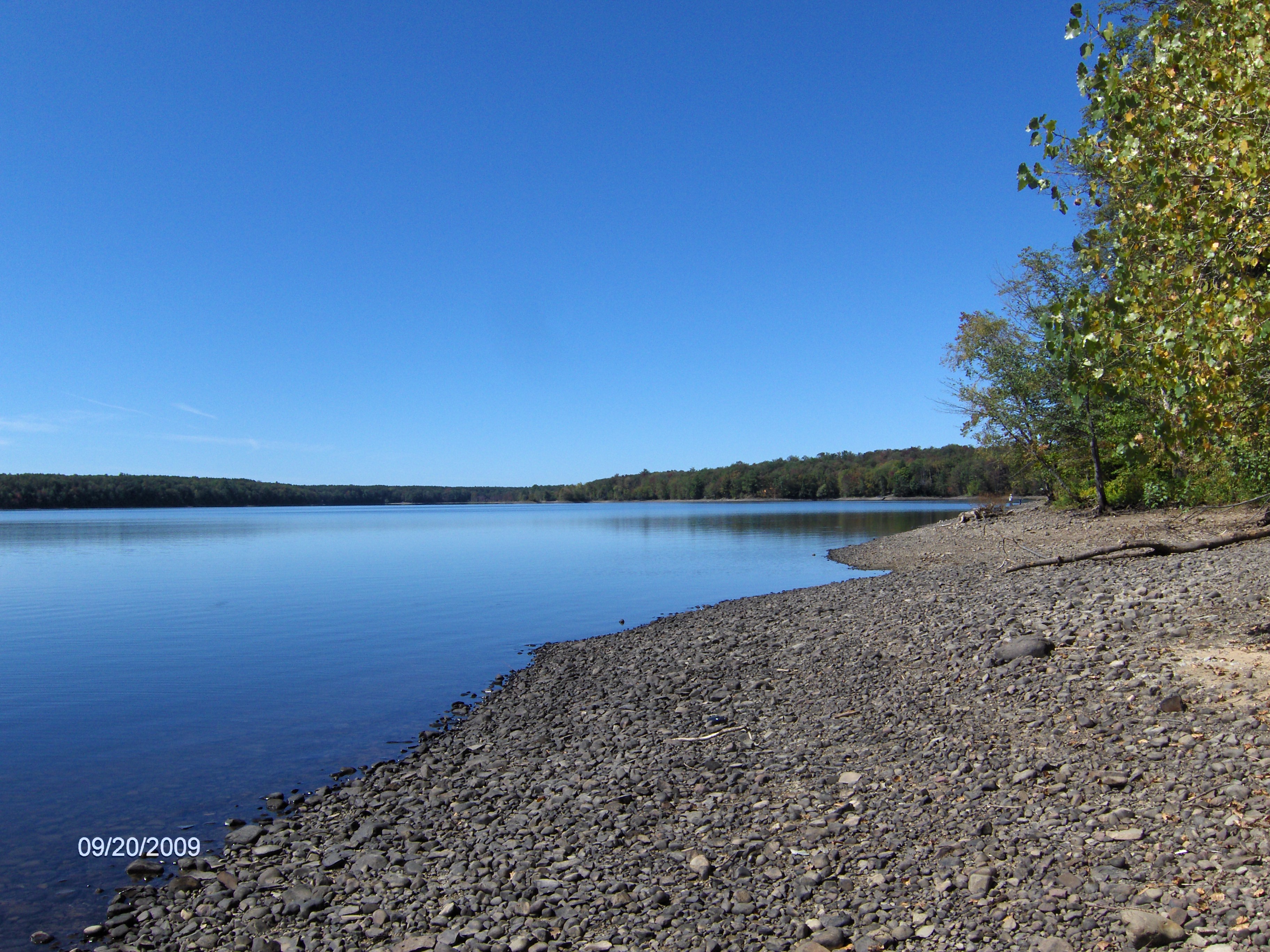Salmon River State Forest