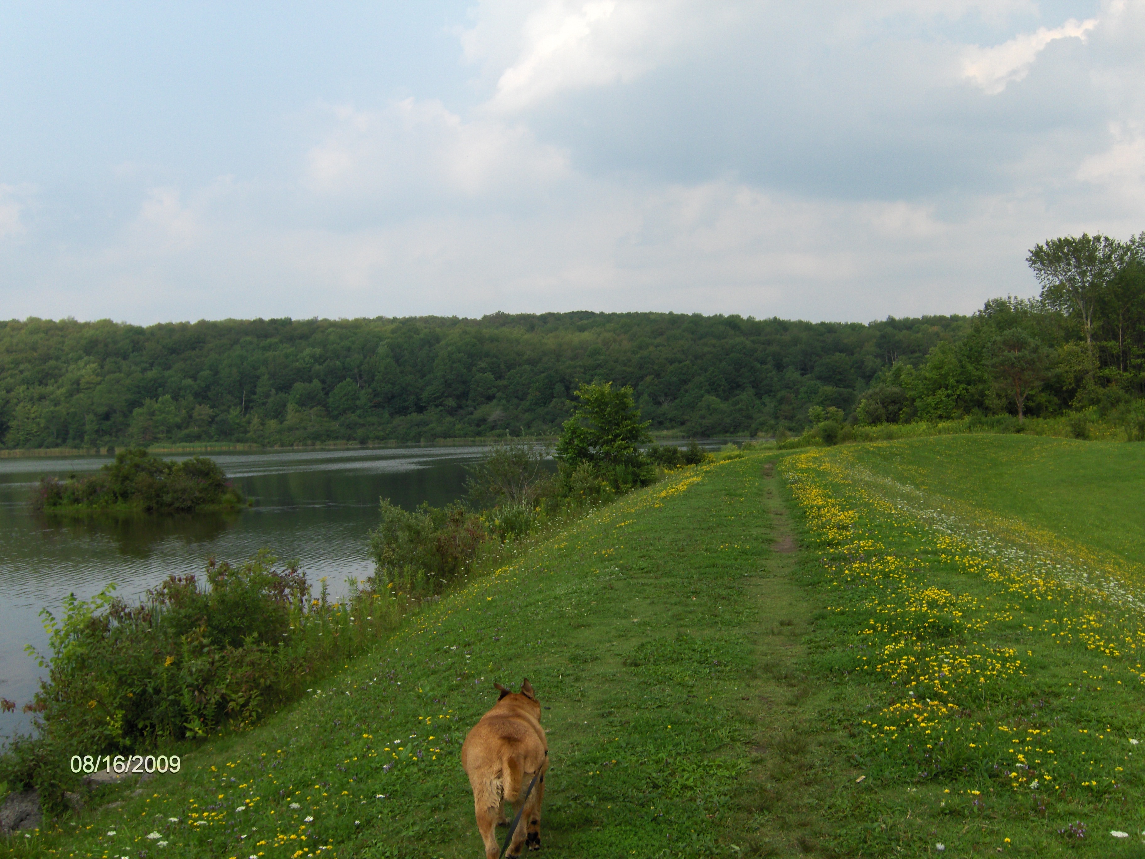 Tassel Hill State Forest