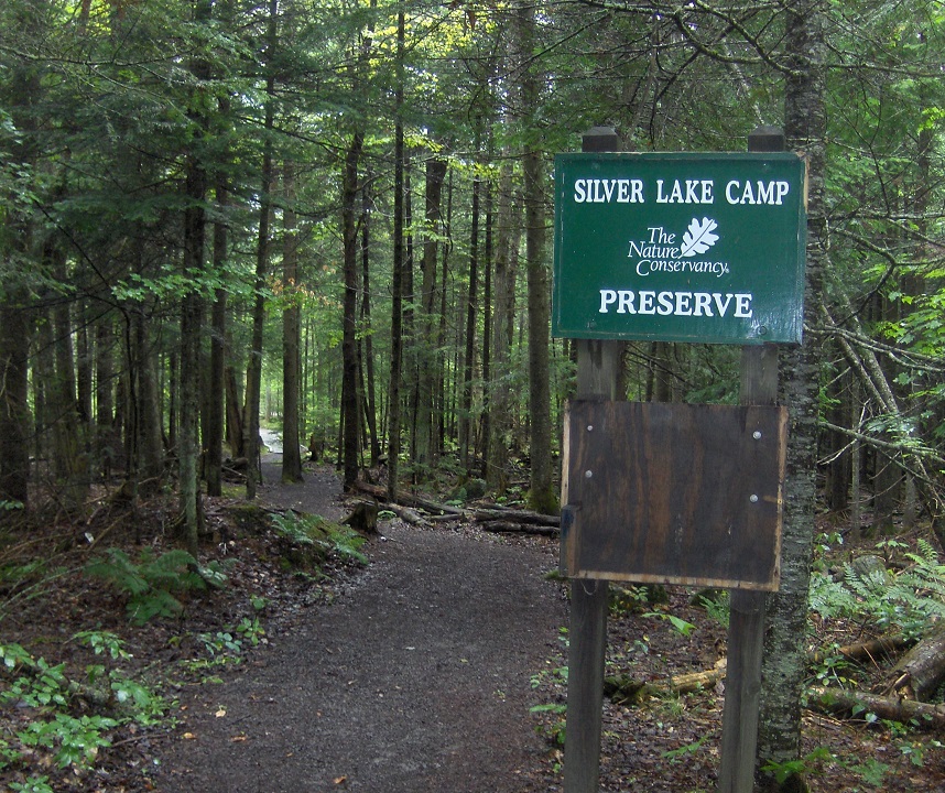 Taylor Pond Wild Forest