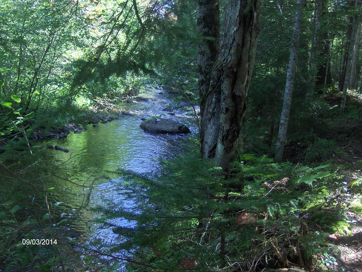 Little Wolf Pond Depth Chart at Carey Seals blog