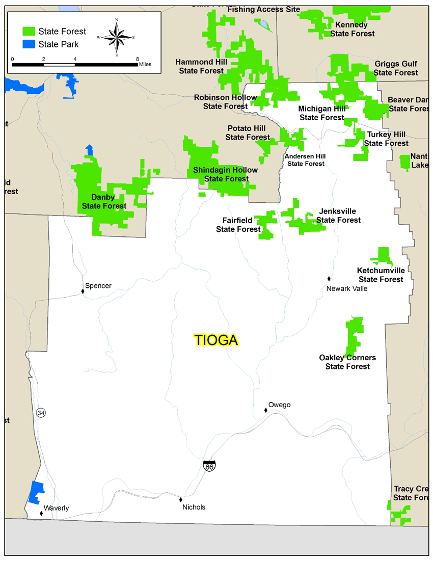 Hiking in Tioga County