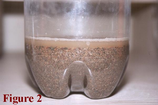 CO2 Science