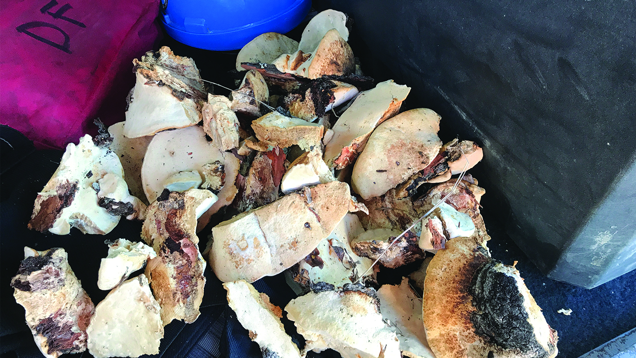 How Coastal GasLink is cultivating new relationships through